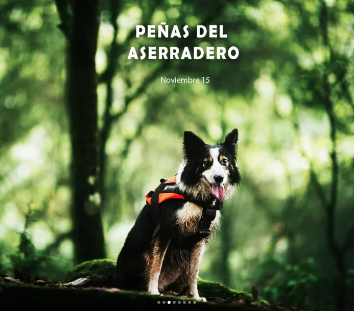 caminata-penas-del-aserradero-noviembre