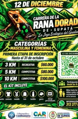 carrera-de-la-rana-dorada