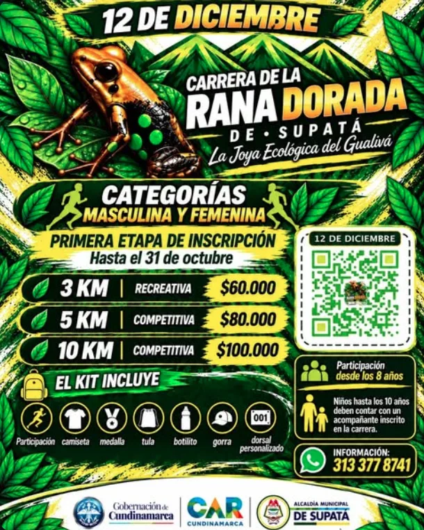 carrera-de-la-rana-dorada