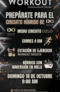 circuito-hibrido-oslo