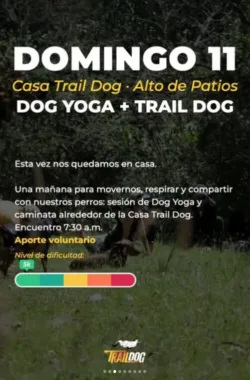 dog-yoga-trail-dog