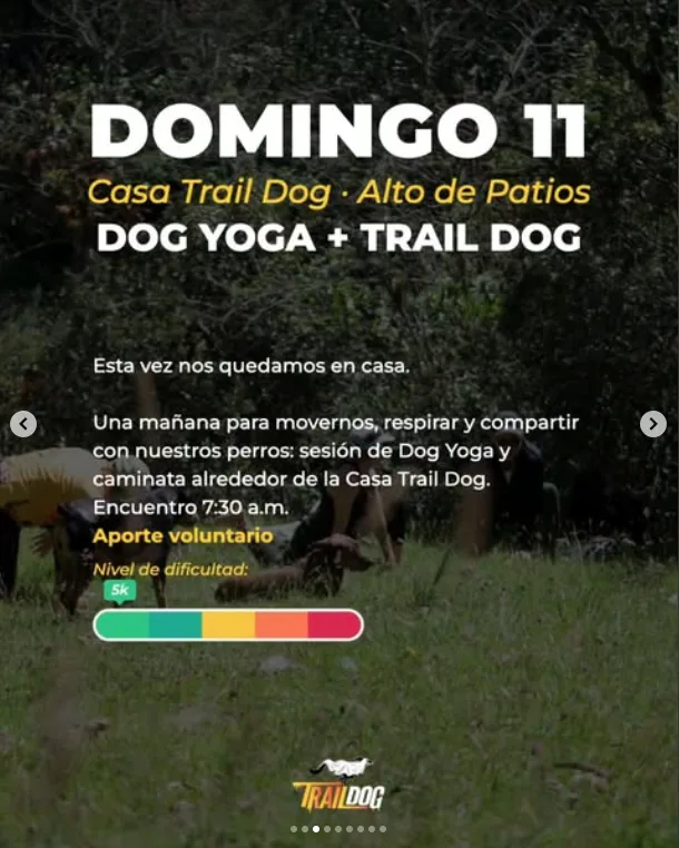 dog-yoga-trail-dog