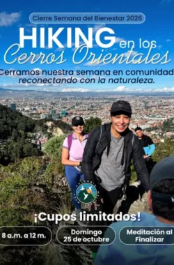 hiking-cerros-orientales-bogota-colombia-wellness-week