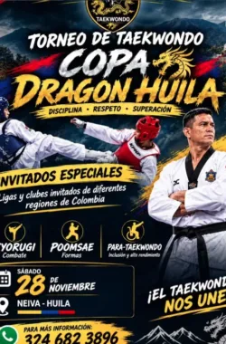 torneo-taekwondo-copa-dragon-huila